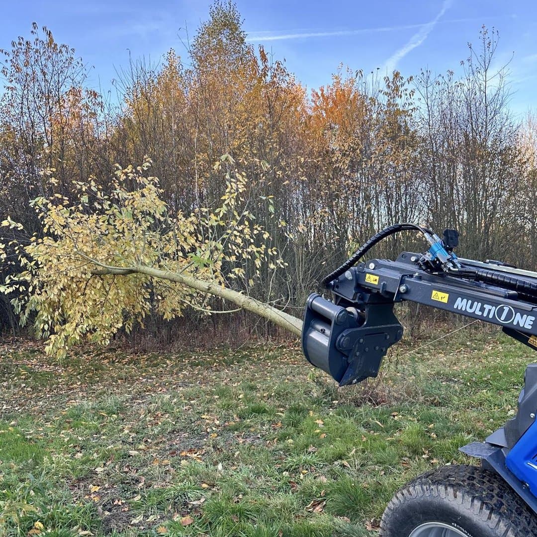 Chwytak przenosi ścięte drzewo