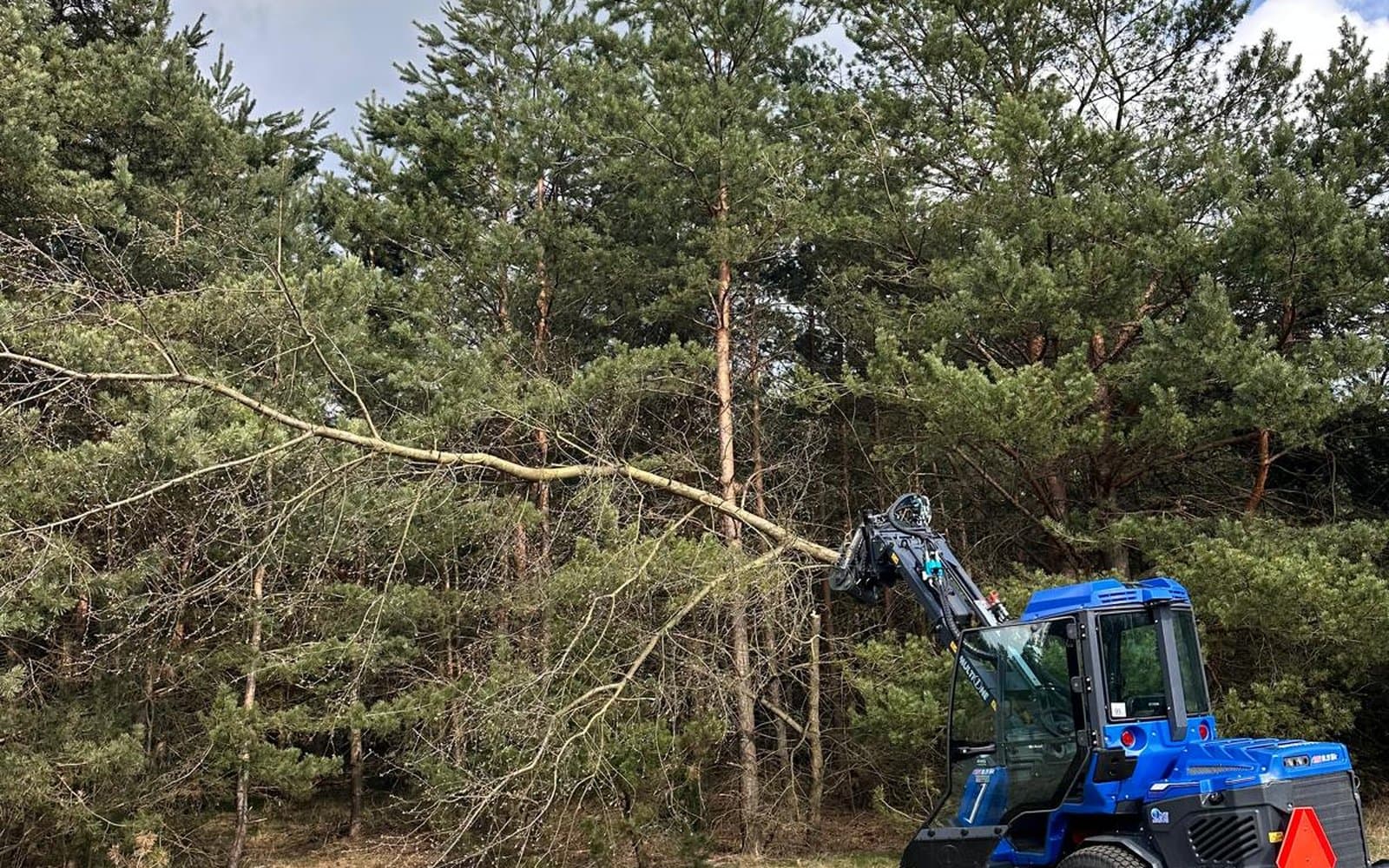 Drzewa, krzaki i karpy? Oddajemy teren czysty i gotowy — Wrocław, Dolny Śląsk